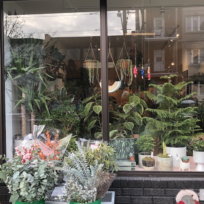 Indoor Plant Stores in Toronto by Neighbourhood - sienna flora