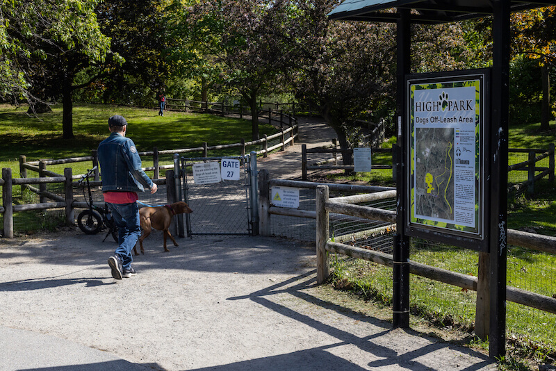 High Park Dog Park