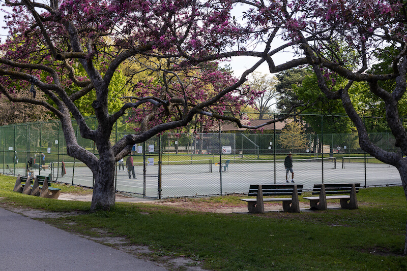 high park tennis court