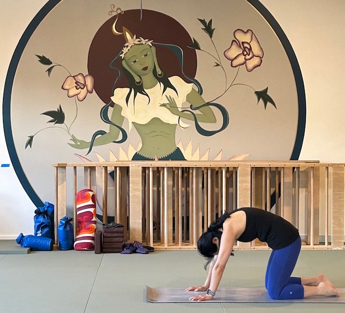 Yoga Canmore Alberta - Sonya D