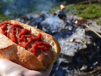 Recipe for Campfire Chili Dogs