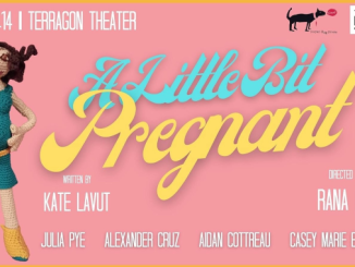 A Little Bit Pregnant Review