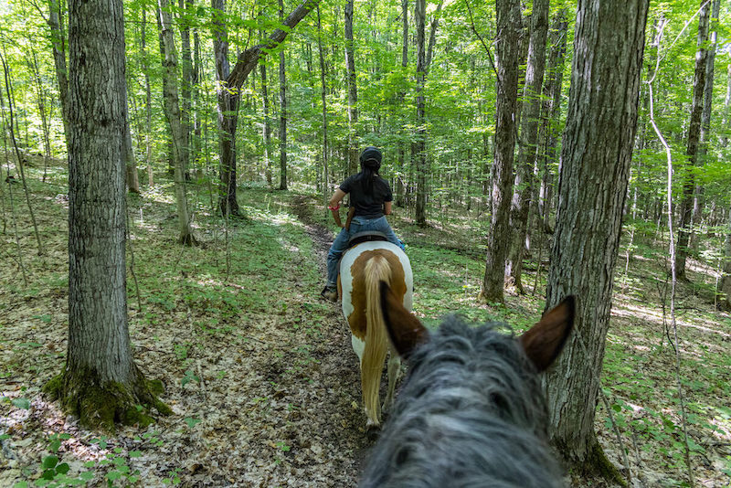 Glamping at Glen Oro Farm: A Serene Escape near Toronto