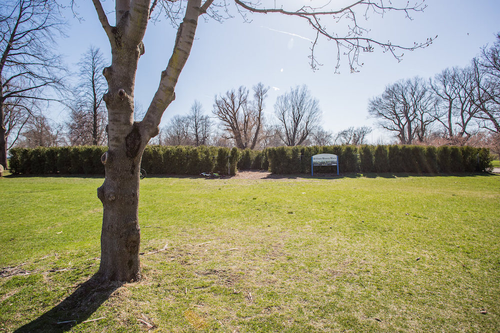 Things to do on the Toronto Islands - William Meany Maze