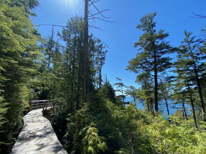 Indigenous Water-Based Activities and Guided Tours to Explore In British Columbia