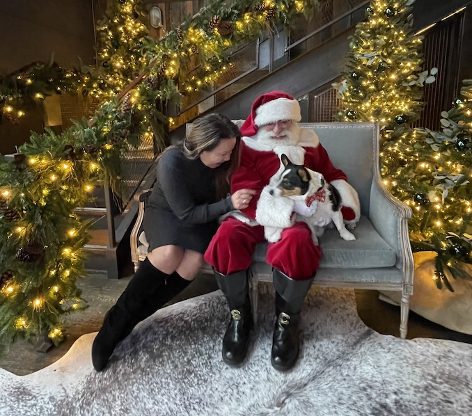 Santa Yorkville - pets