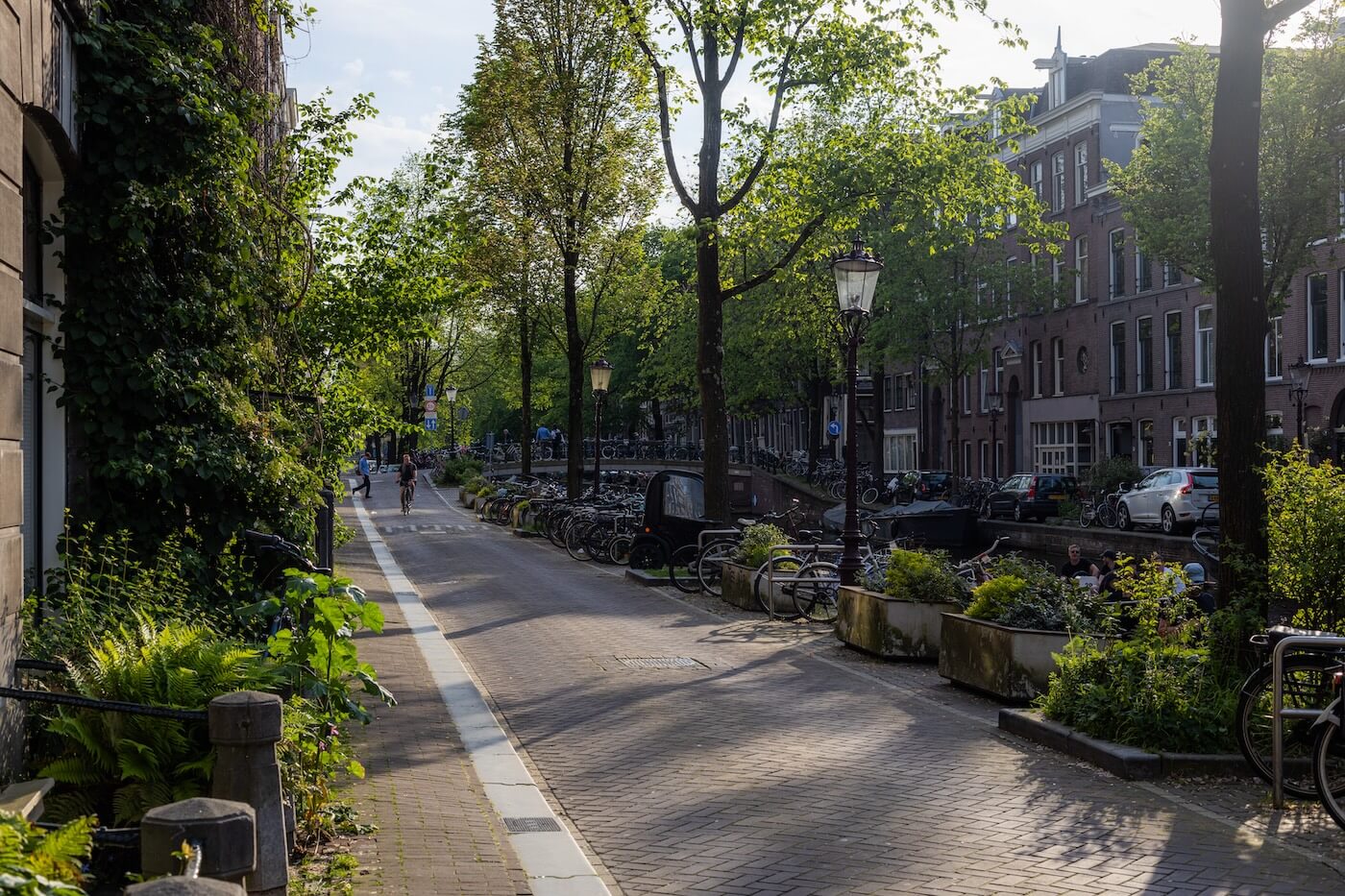 Neighbourhood Street in Amsterdam - Photo by Joel Levy