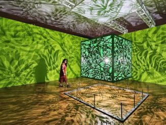 New LIGHT Exhibition at the Aga Khan Museum is More than Meets the Eye