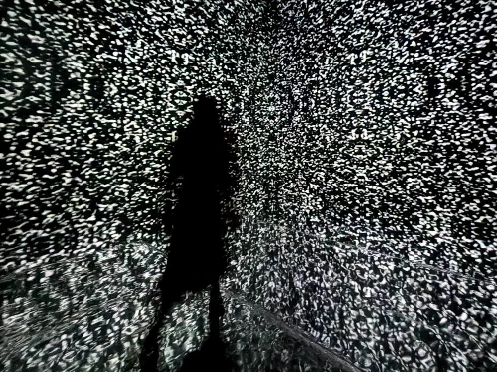 New LIGHT Exhibition at the Aga Khan Museum is More than Meets the Eye