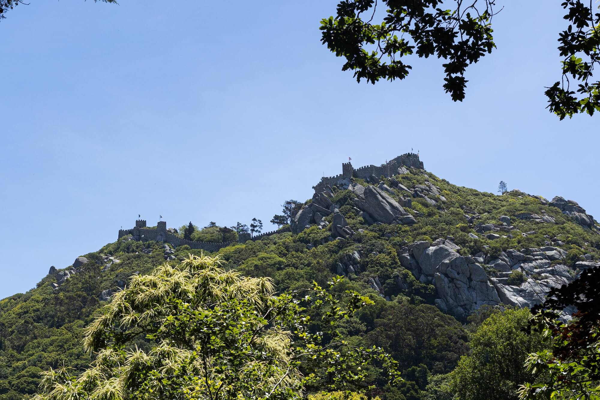 Moorish Castle in Sintra