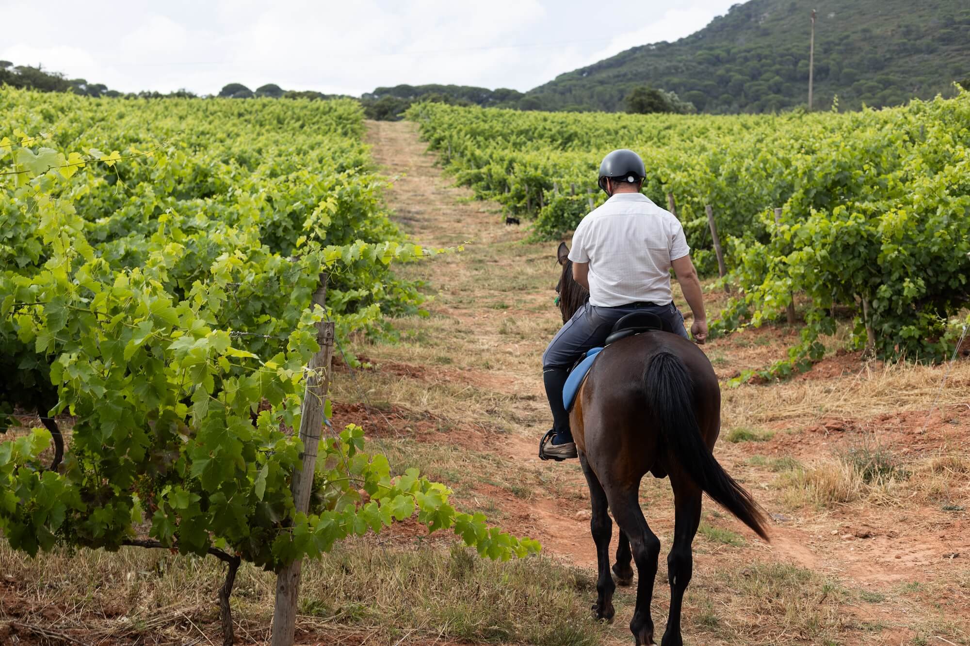 Horseback riding at Hotel Casa Palmela