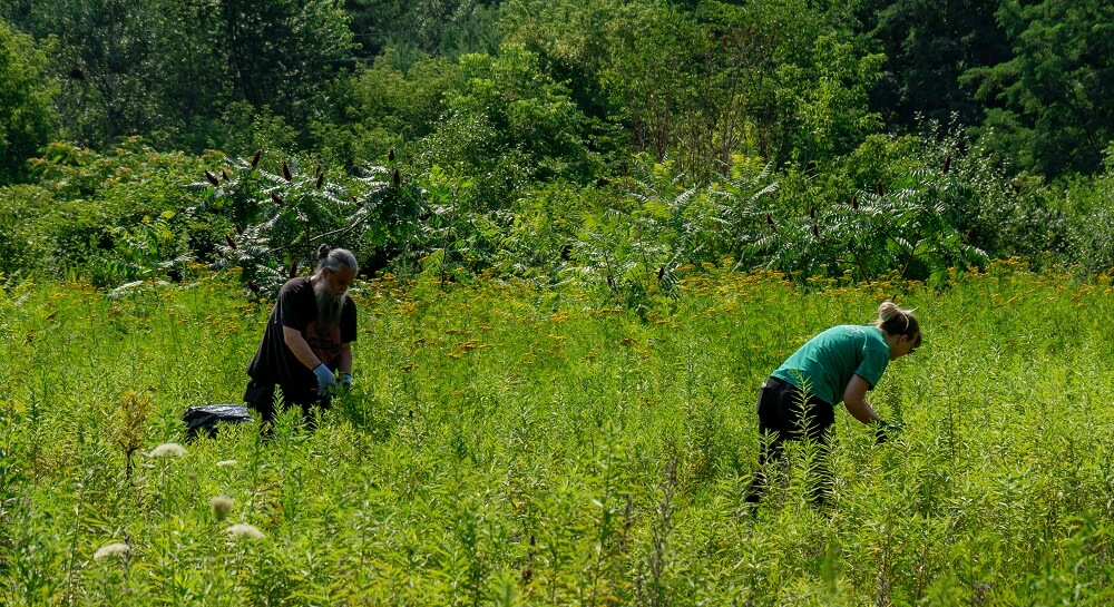 Toronto Field Naturalists