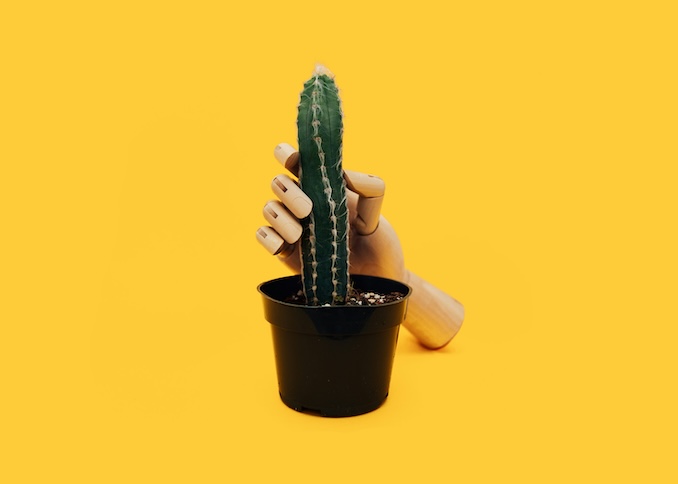 Mannequin hand holding a cactus/