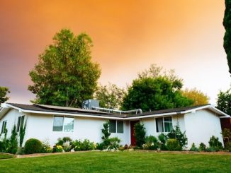 Lawn in front of home for featured image