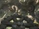 Indiana Jones and the Great Circle (PS5) Review: Whip-Smart
