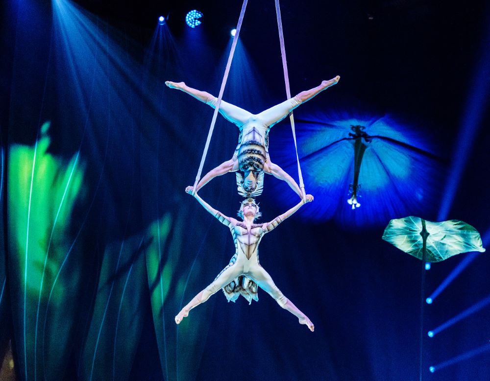 Celebrate Spring with Cirque du Soleil’s Dazzling 2025 OVO Show!