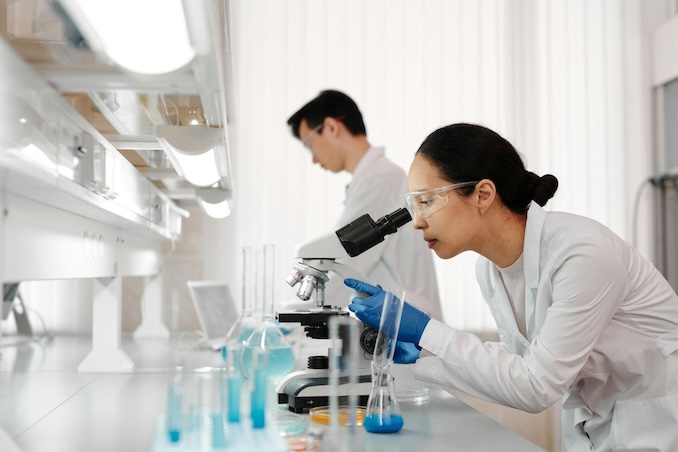 Stem Cell Research