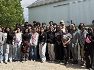Peacebuilders