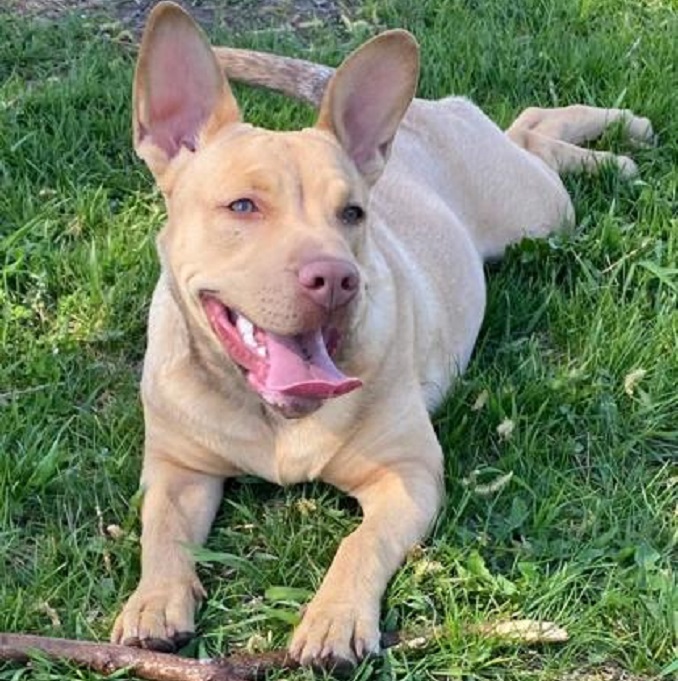 Coco