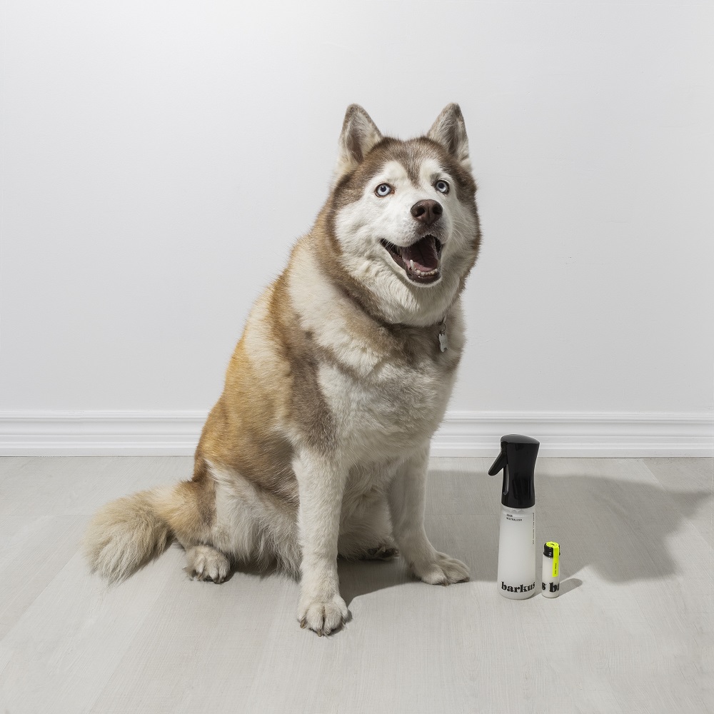 Barkus