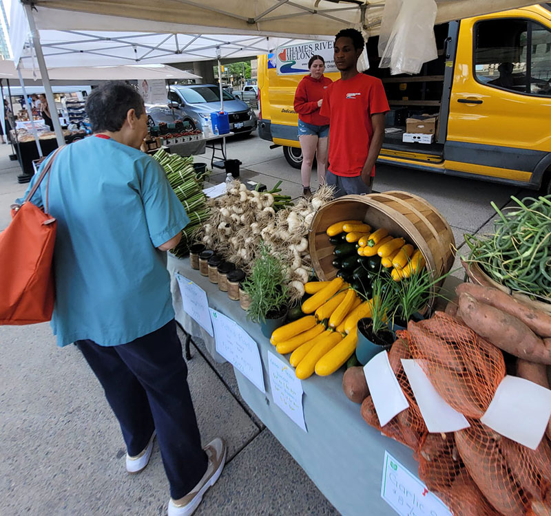 Best Farmers Markets in Toronto
