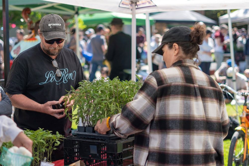 Best Farmers Markets in Toronto