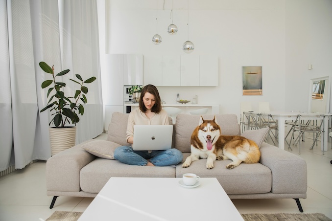 Woman on her laptop on her couch