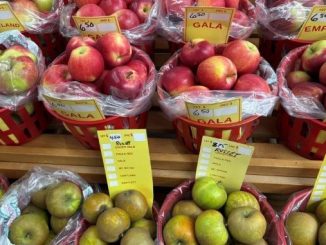 Daytripper: Explore the Tasty Trails of Huron County