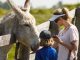 Daytripper: Best Things to See, Eat and Do in Guelph