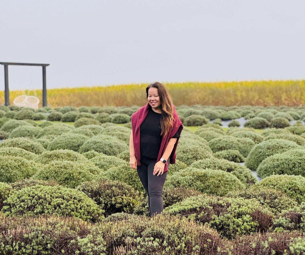 Daytripper: Explore the Tasty Trails of Huron County