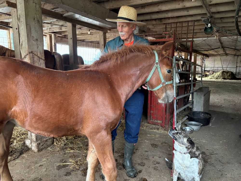 Daytripper: Explore the Tasty Trails of Huron County