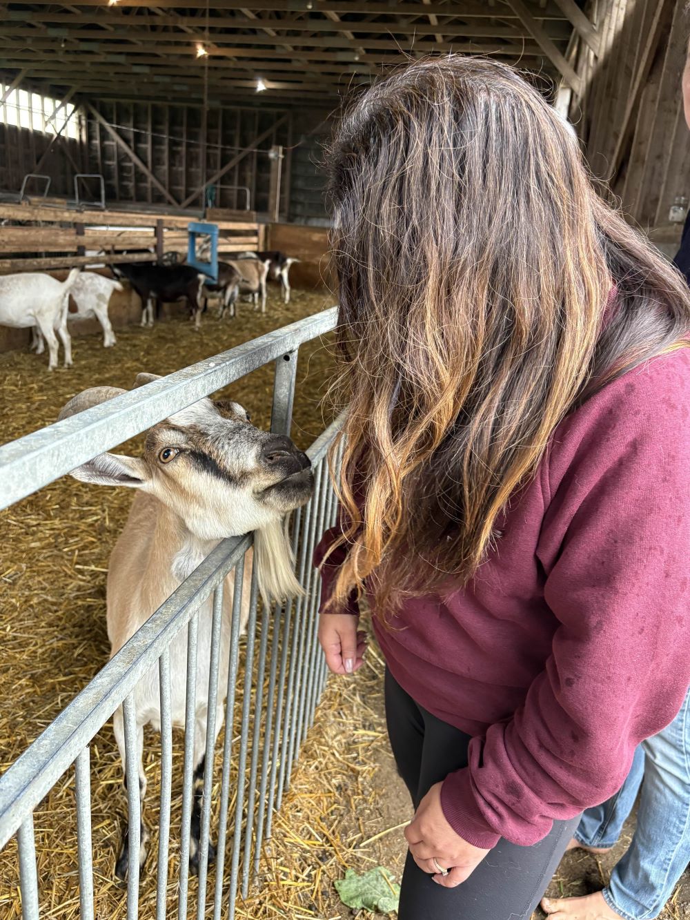 Daytripper: Explore the Tasty Trails of Huron County