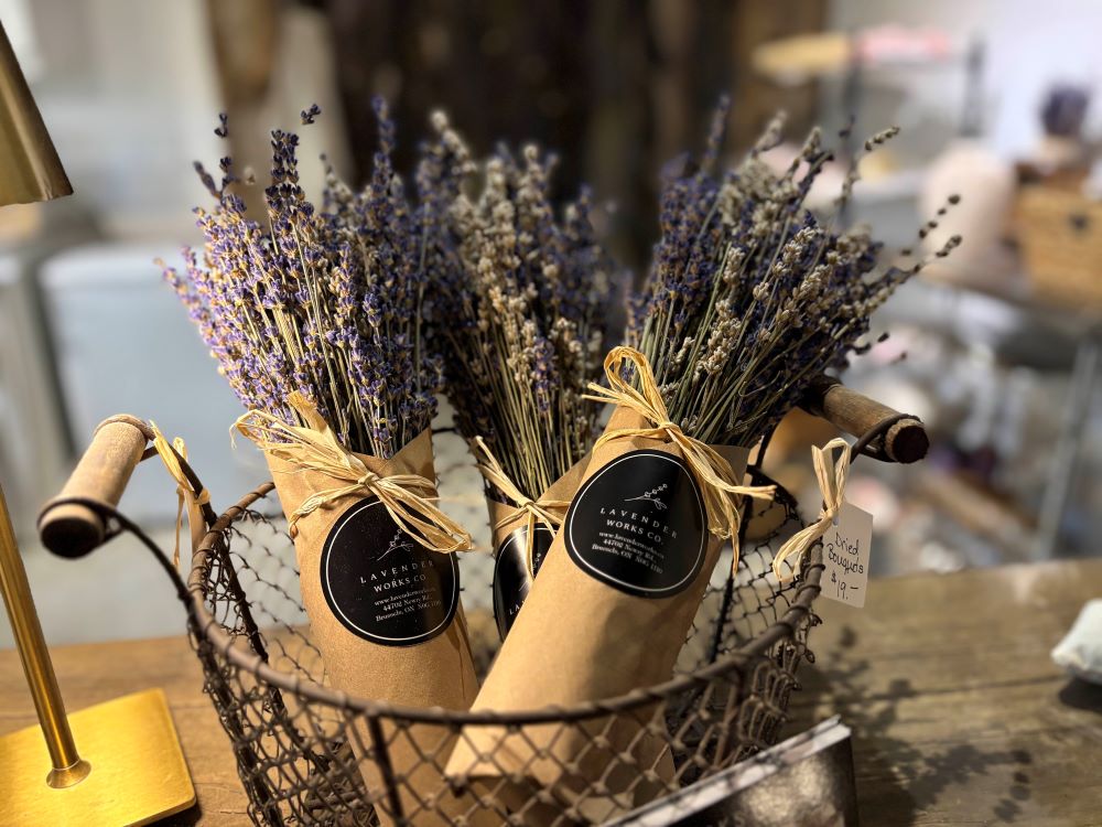 Daytripper: Explore the Tasty Trails of Huron County