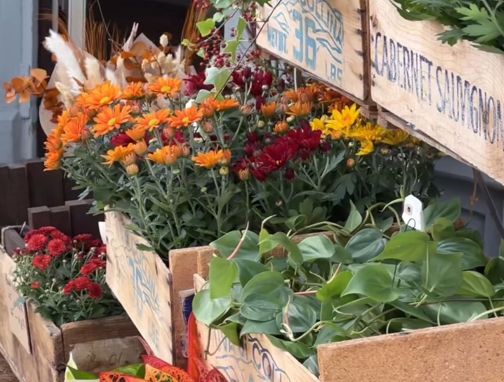 Daytripper: Best Things to See, Eat and Do in Guelph