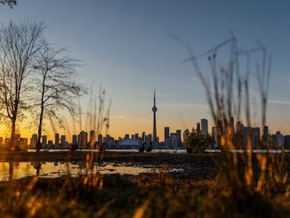 Toronto Skyline