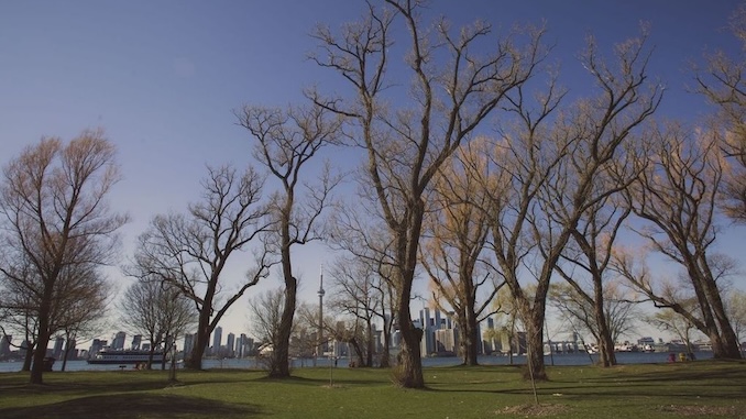 Toronto Island