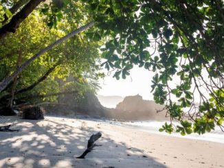 Las Aventuras en Costa Rica, Part Two: Arenas Del Mar Resort, Manuel Antonio Park