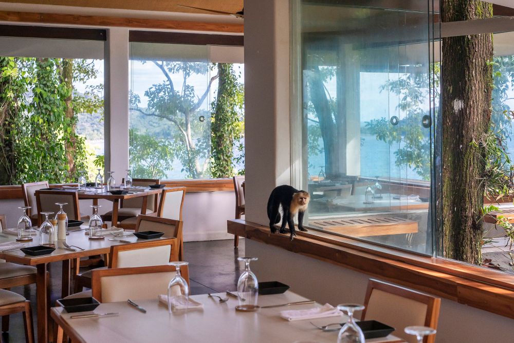 Las Aventuras en Costa Rica, Part Two: Arenas Del Mar Resort, Manuel Antonio Park