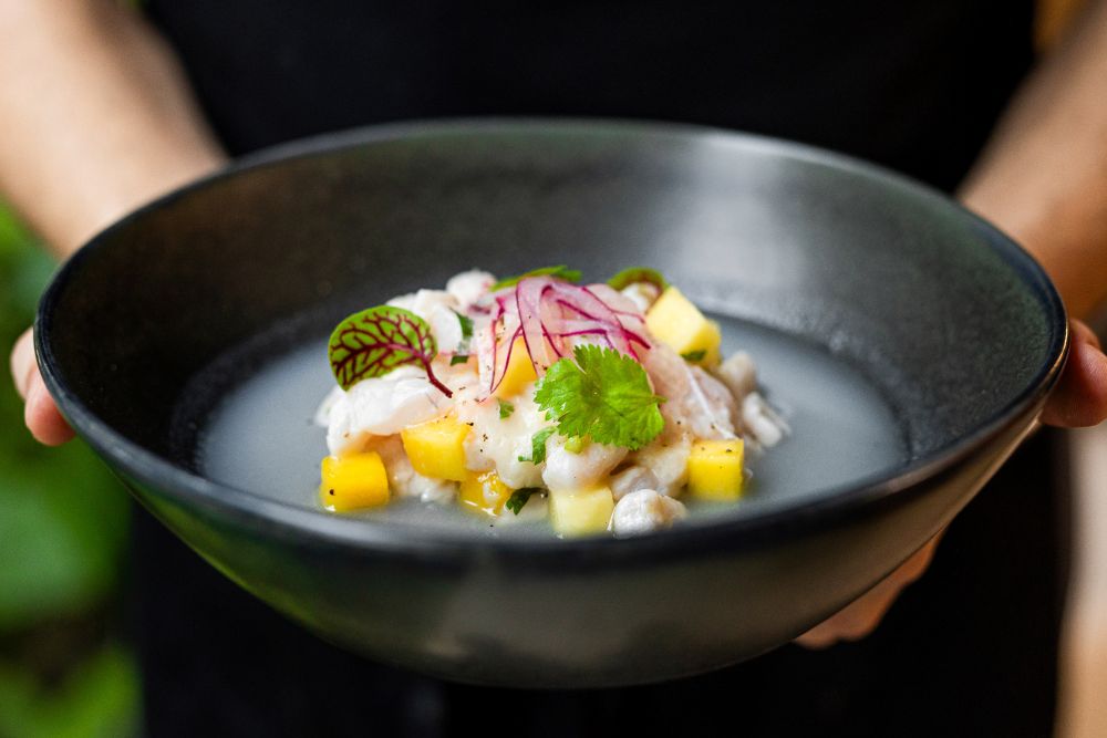 Las Aventuras en Costa Rica, Part Two: Arenas Del Mar Resort, Manuel Antonio Park