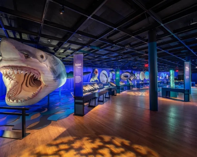 What To See And Do This Family Day Weekend in Toronto