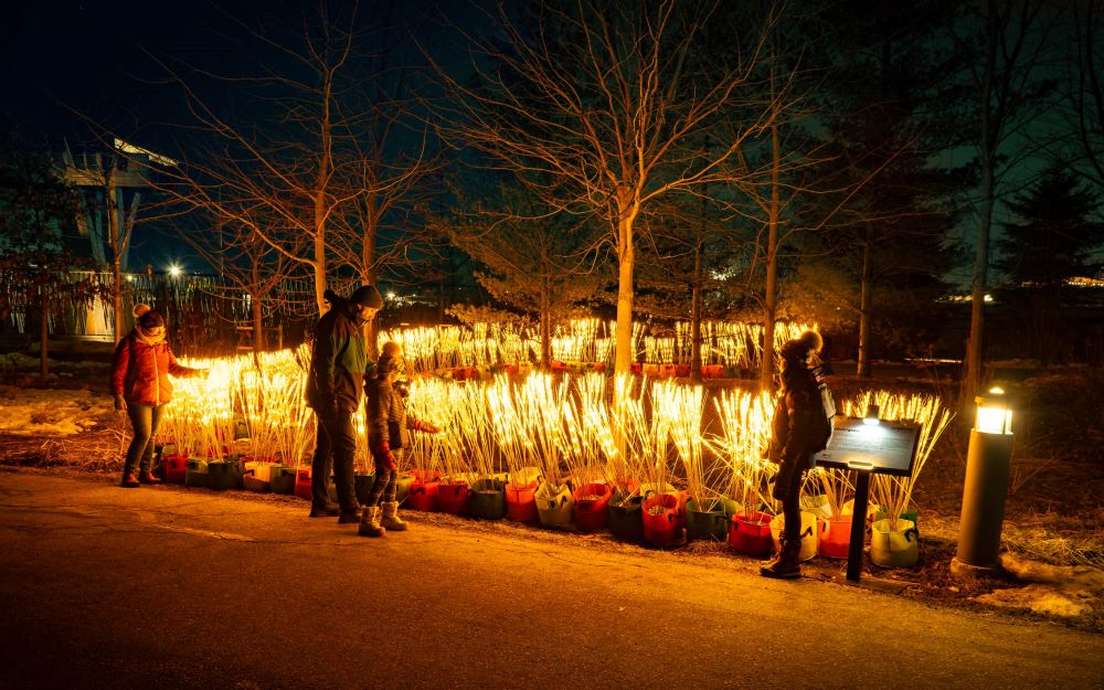 Family Fun in Toronto this March Break!