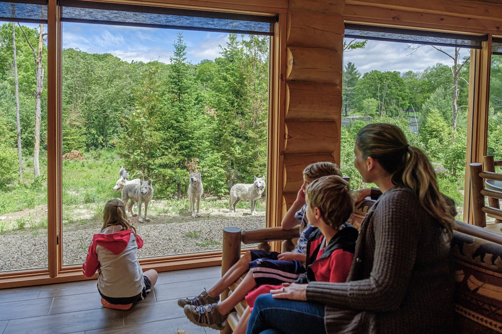Parc Omega