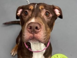 Alhambra