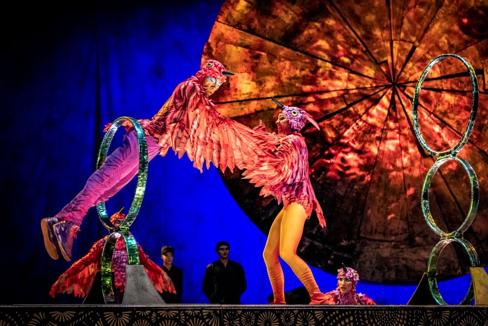 Fun Things to See and Do This Summer in Toronto with Kids
