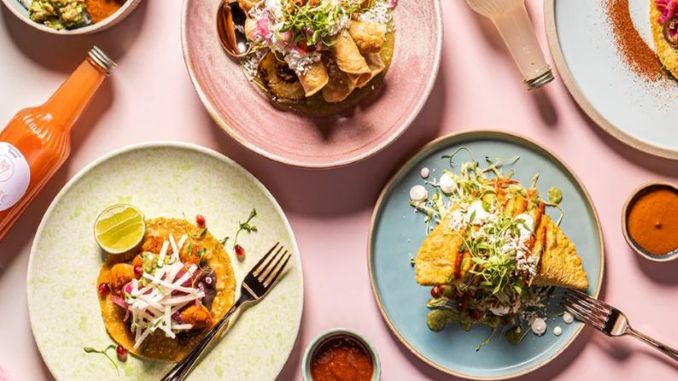 Chef Elia Herrera opens TECOLOTE MARKET at St. Lawrence Market