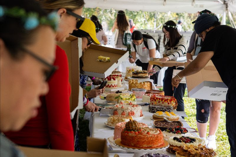 Cake Picnic Toronto